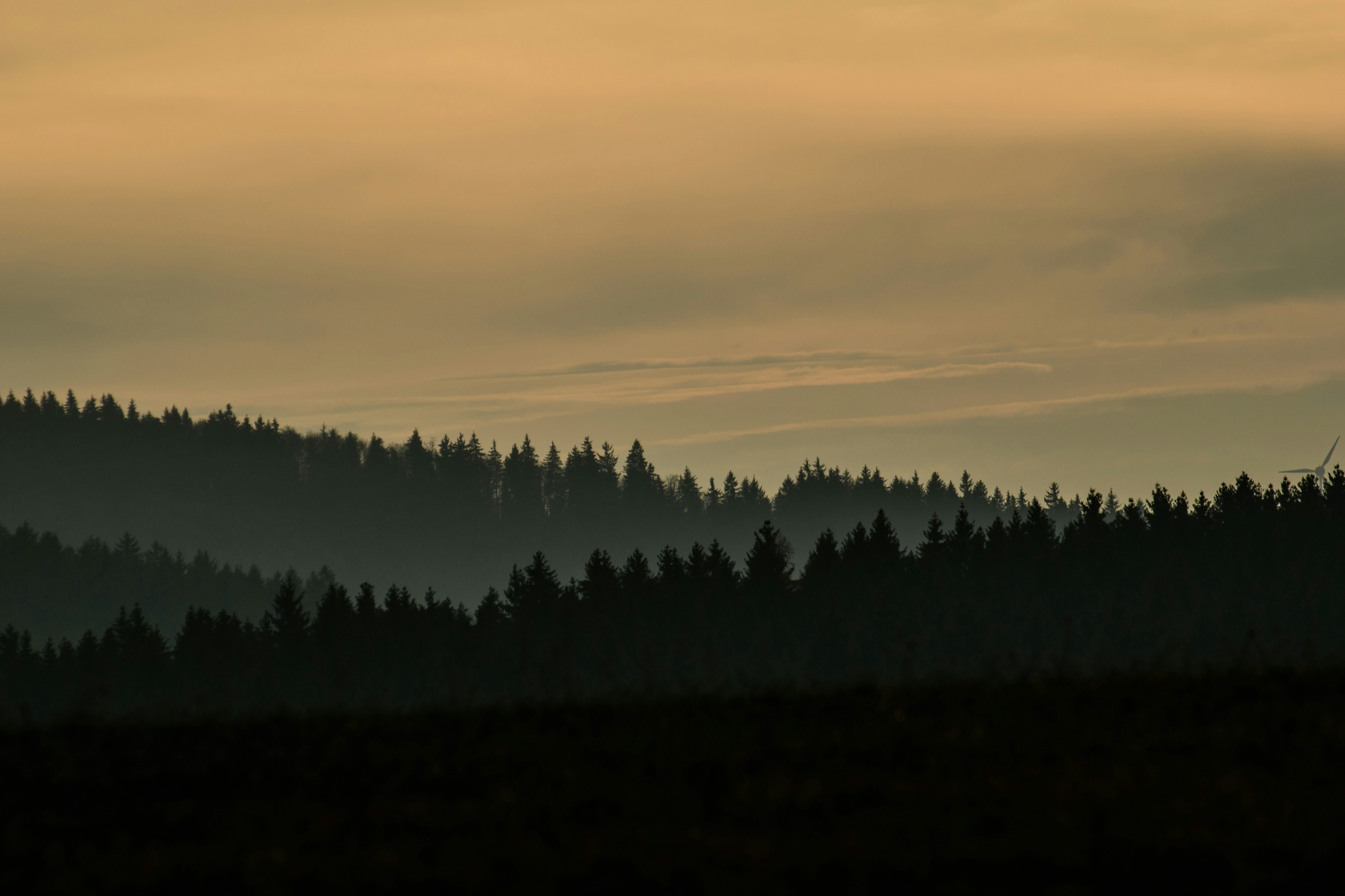 Photo by rolf_schmidbauer