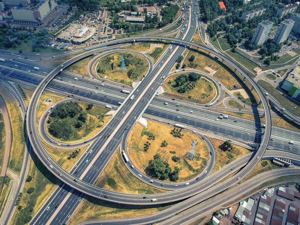 aerial view of green trees and road during daytime