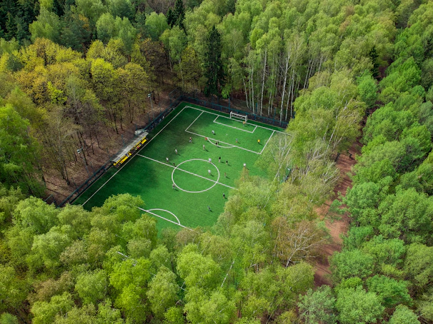 aerial view of soccer field surrounded by trees