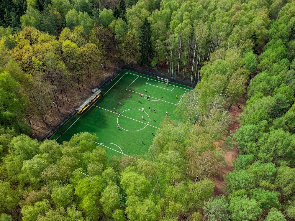 aerial view of soccer field surrounded by trees
