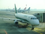 A row of airplanes is parked at an airport gate area, with a focus on the Alitalia aircraft situated closest to the camera. The airplane is connected to a passenger boarding bridge. Several other airplanes are visible in the background, lined up along the tarmac under the overcast sky.