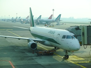 A row of airplanes is parked at an airport gate area, with a focus on the Alitalia aircraft situated closest to the camera. The airplane is connected to a passenger boarding bridge. Several other airplanes are visible in the background, lined up along the tarmac under the overcast sky.