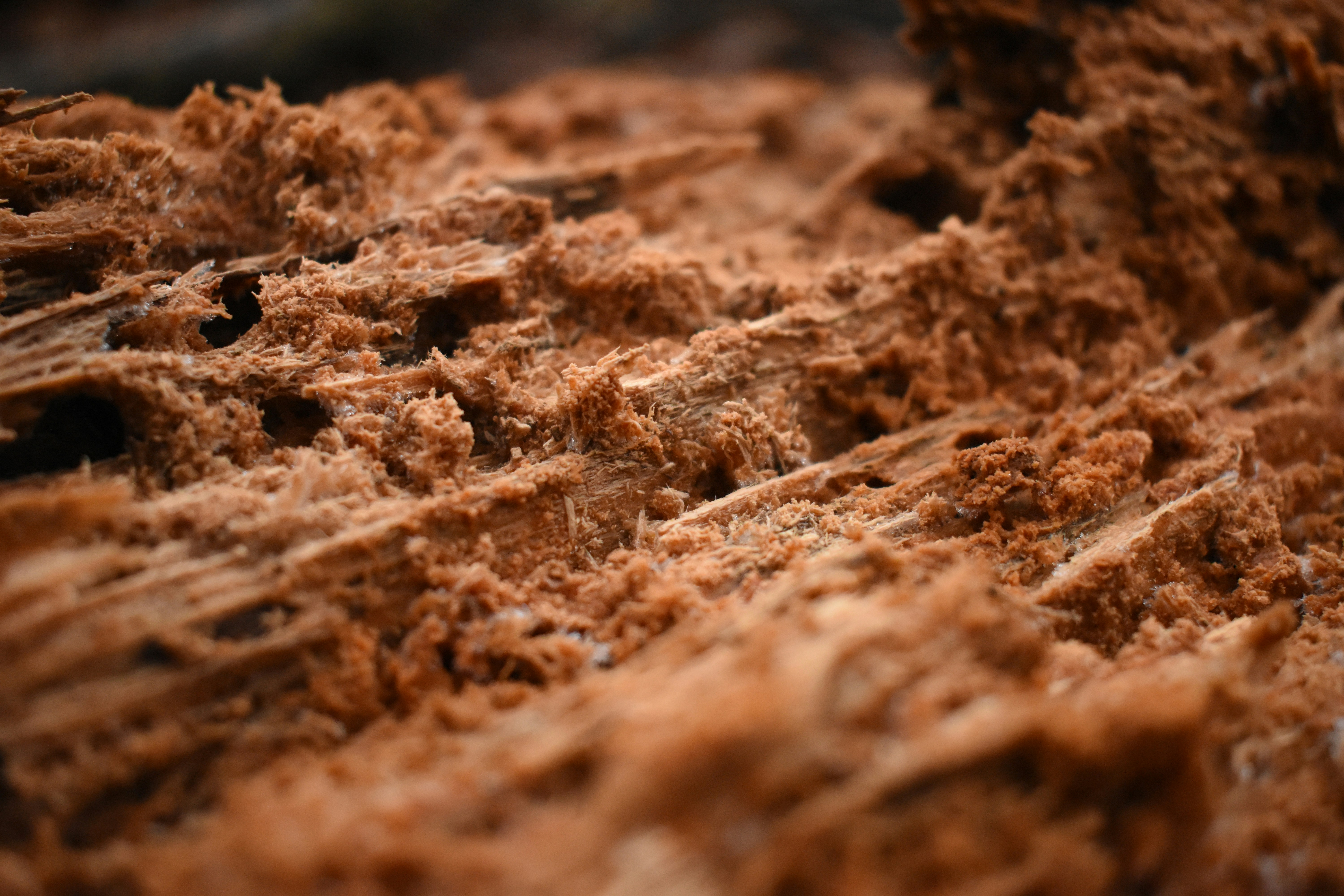 The Enzyme Assembly Line (image credits: unsplash)