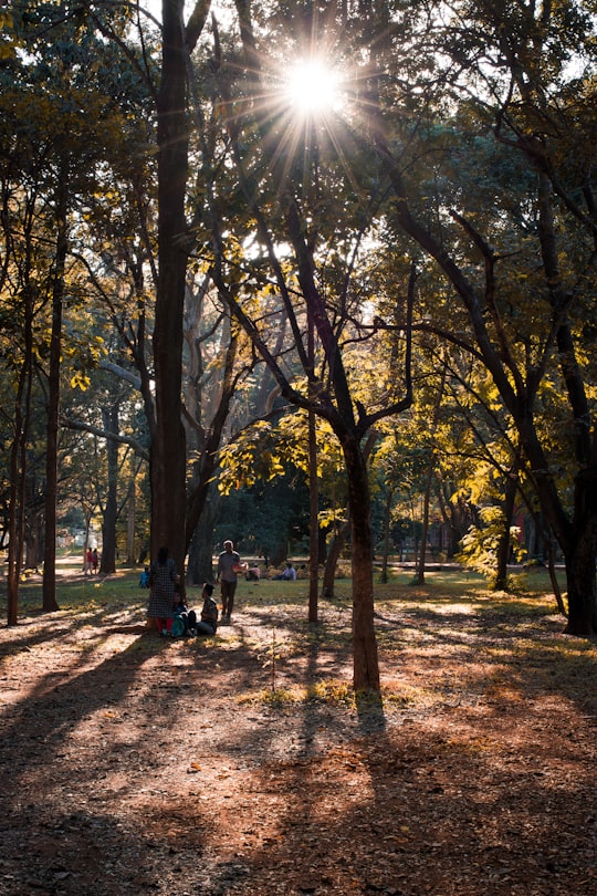 people walking on pathway between trees during daytime in Bengaluru India