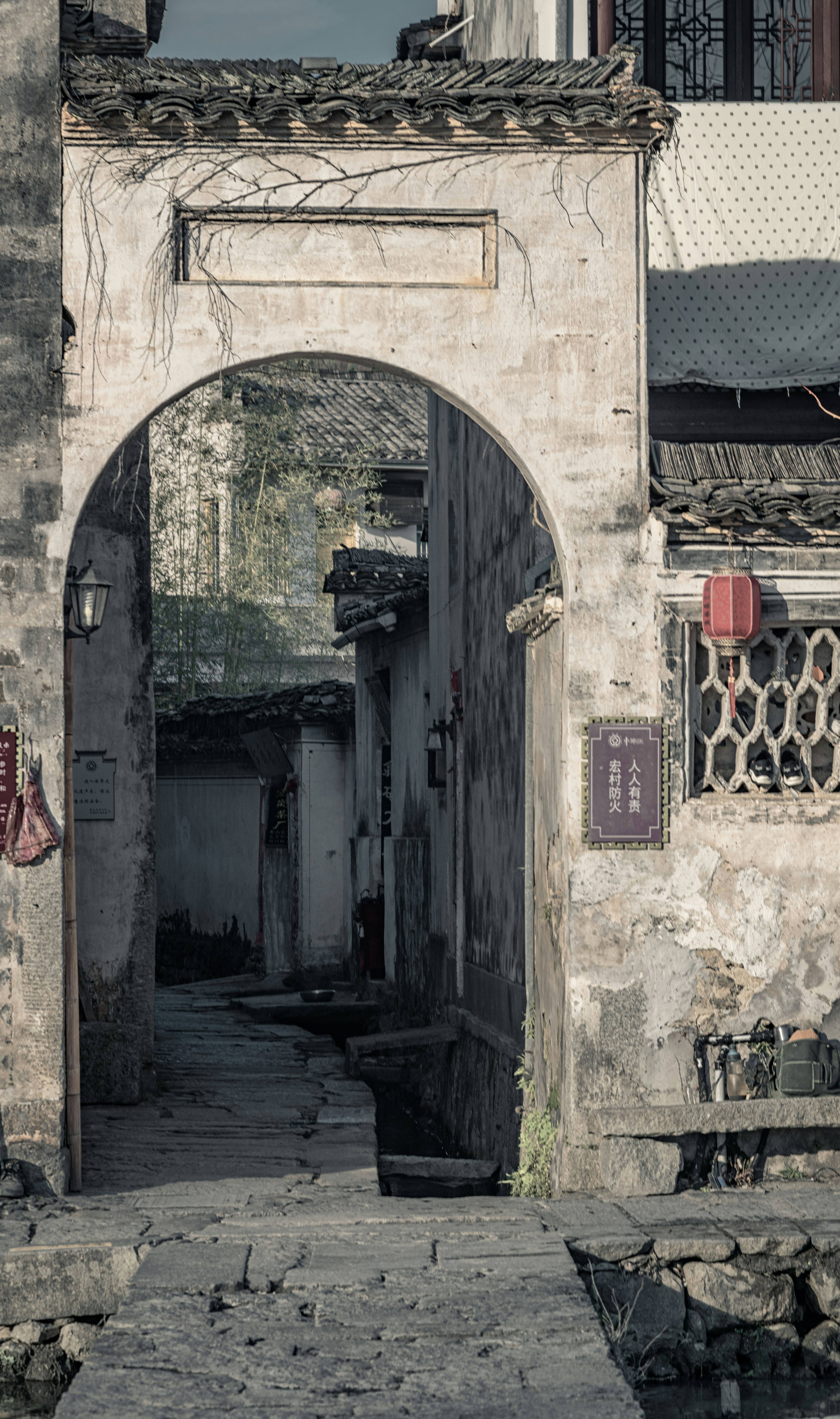 Photo by zhaochen1975