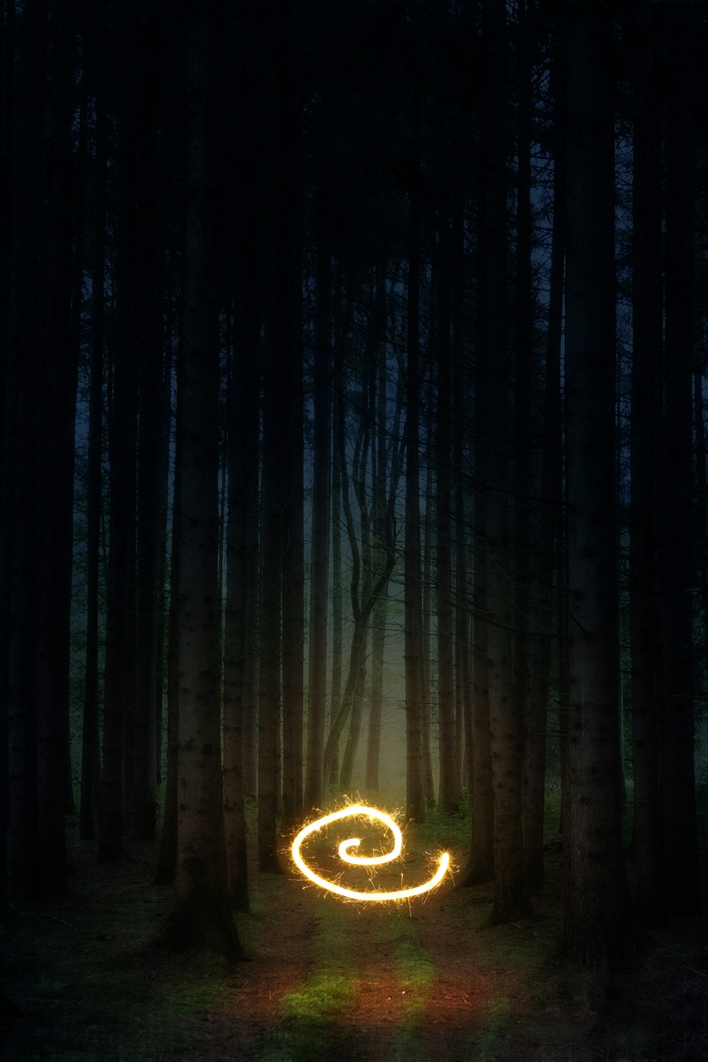 heart shaped light in the middle of forest