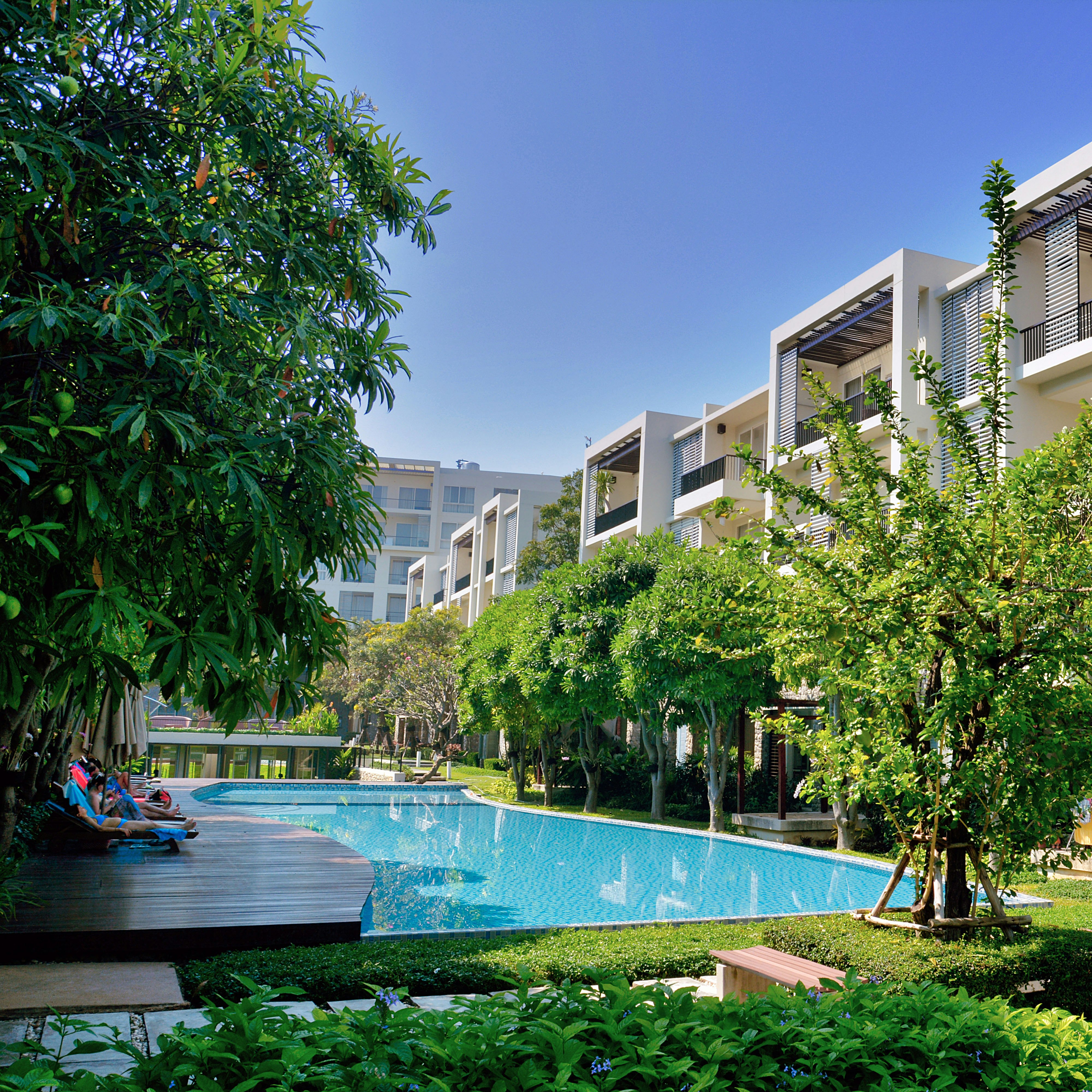 green trees near swimming pool during daytime