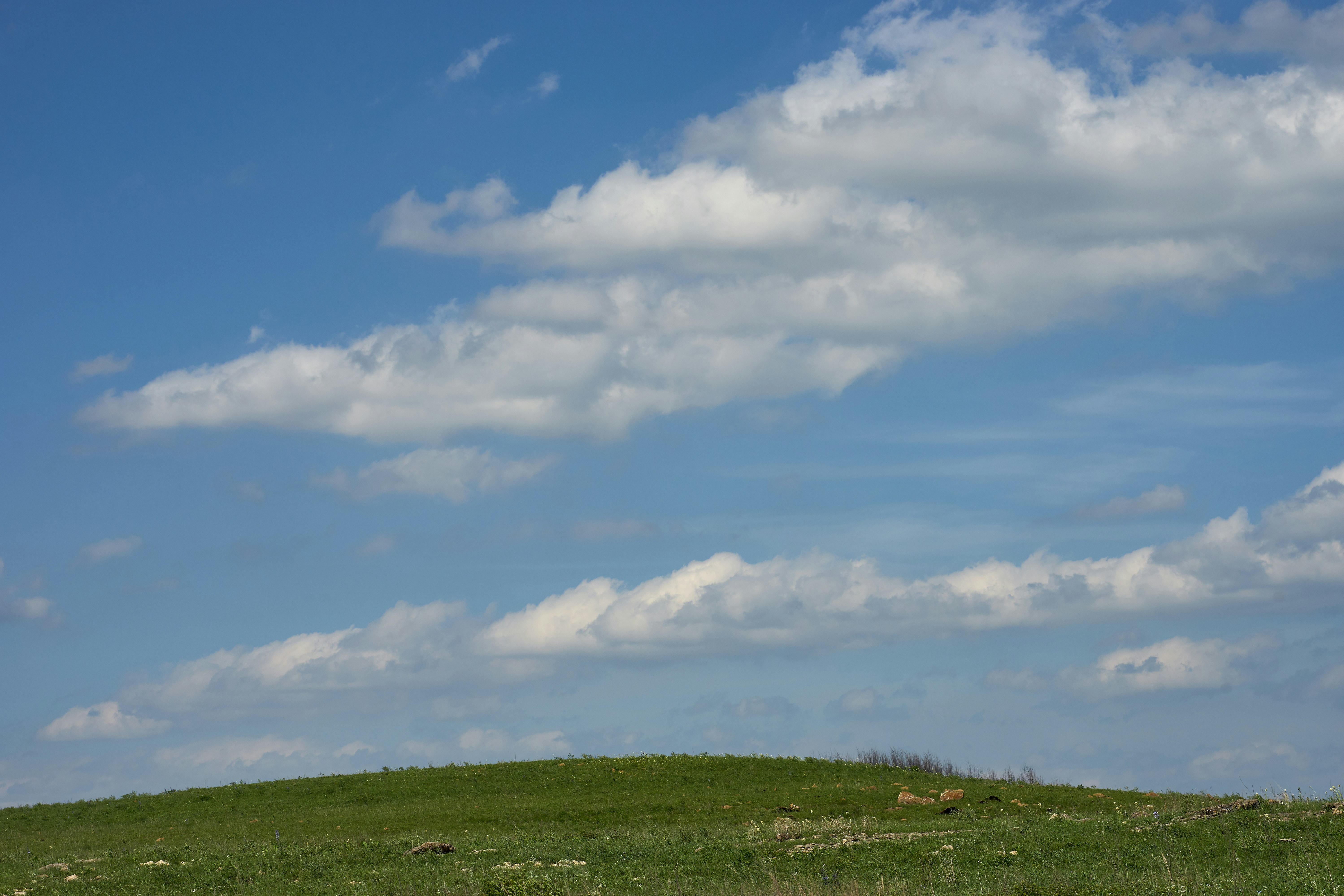 Photo by wolfgang_hasselmann