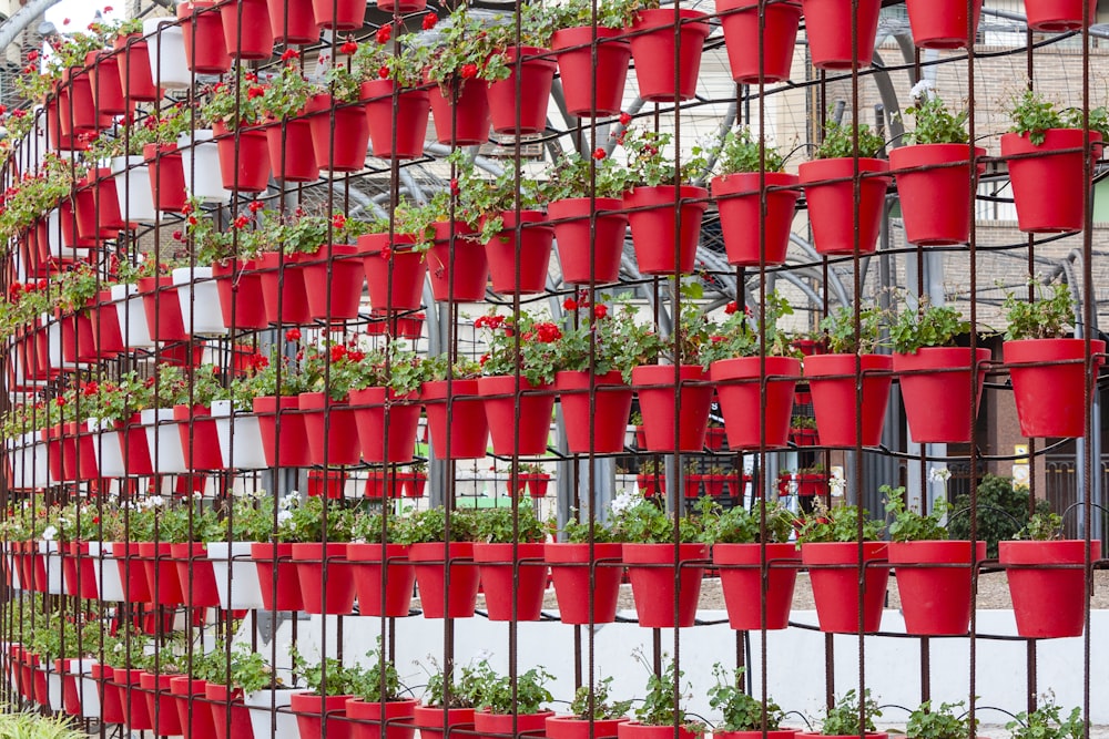 red plastic cups on white wooden fence