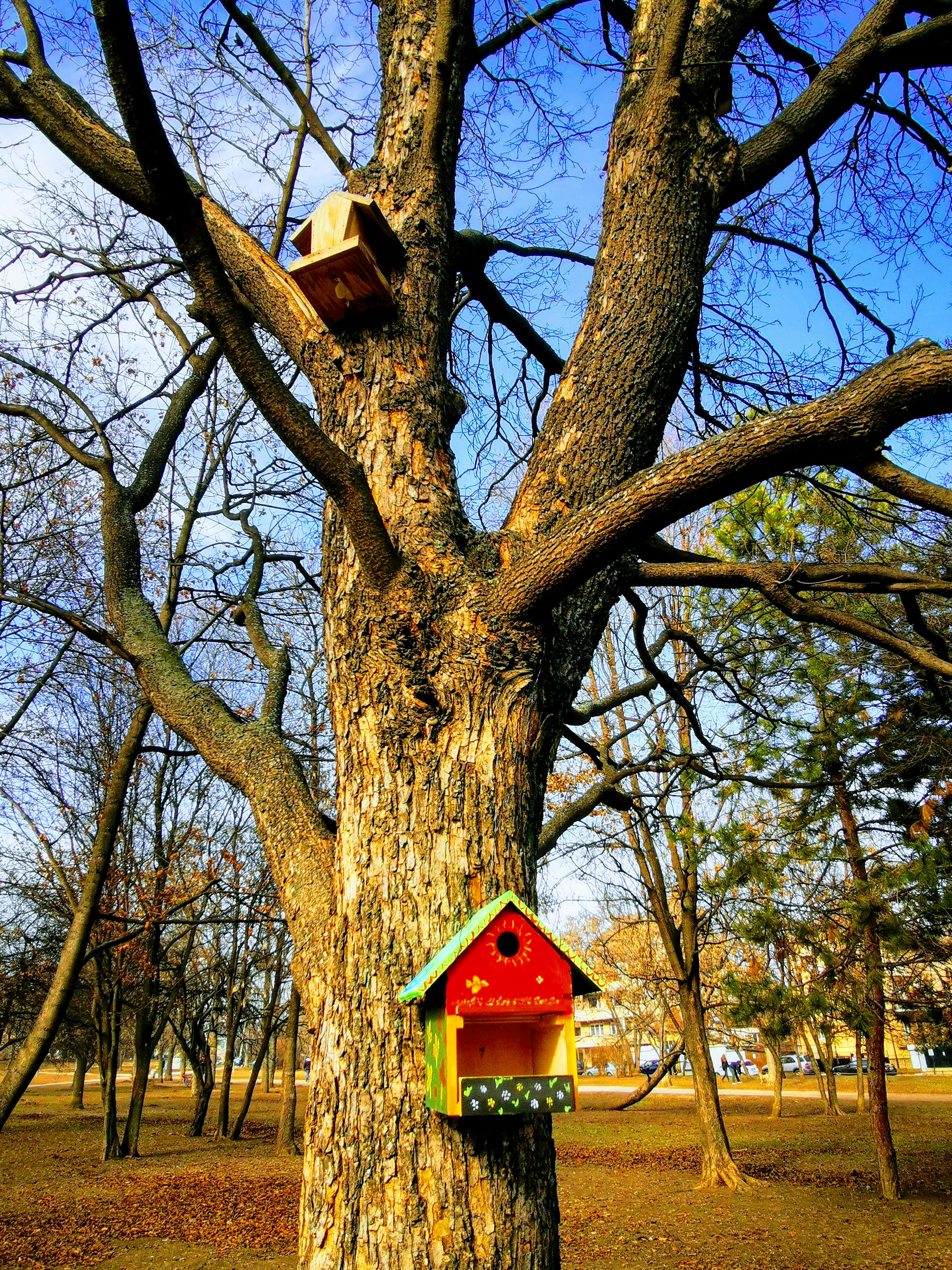 Photo by mirianaivanova