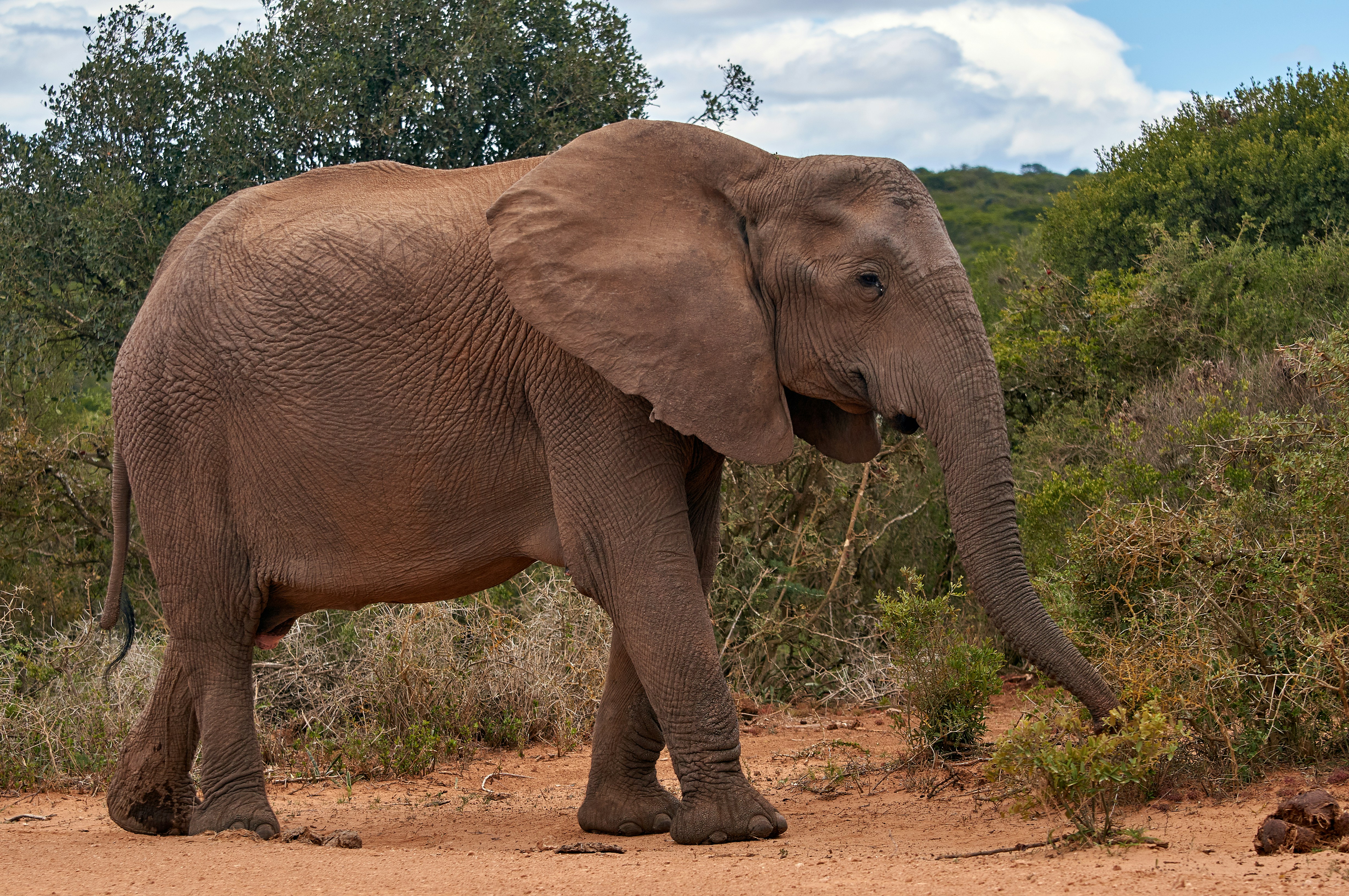 Photo by wolfgang_hasselmann