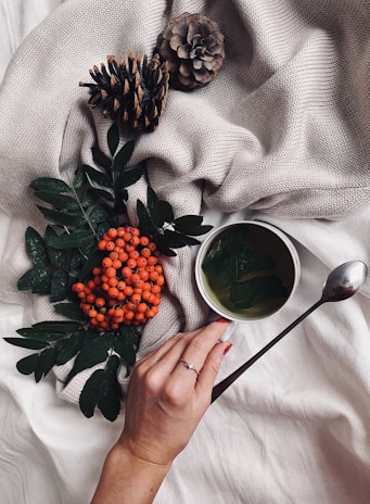 Hands holding a steaming cup of herbal tea, surrounded by pine branches.