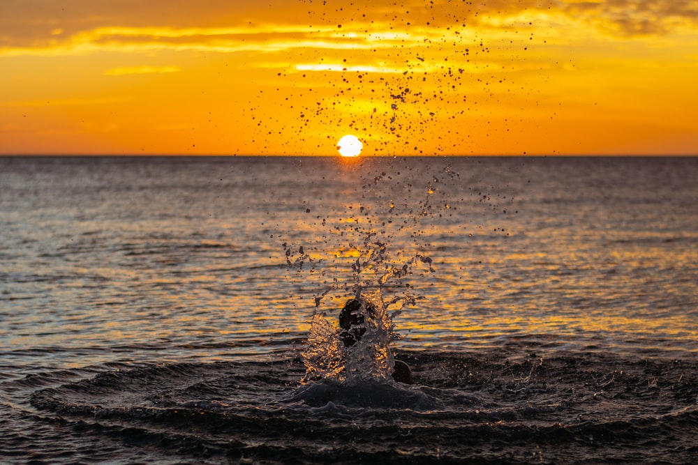 silhouette of person on water during sunset