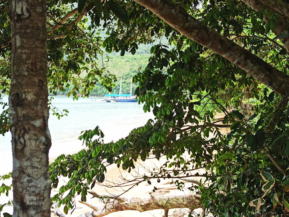 green tree near body of water during daytime