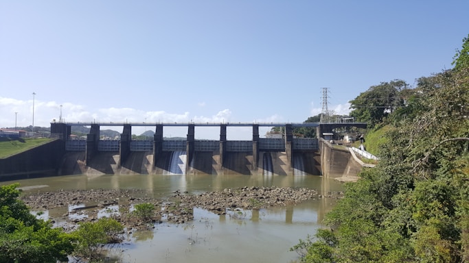 A large dam spans a river, with structures and gates controlling the water flow. The foreground features water and scattered rocks, while lush green vegetation lines the banks of the river. A clear blue sky forms the backdrop, and there is a large electricity pylon connected to power lines on the right, indicating industrial activity.
