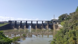 A large dam spans a river, with structures and gates controlling the water flow. The foreground features water and scattered rocks, while lush green vegetation lines the banks of the river. A clear blue sky forms the backdrop, and there is a large electricity pylon connected to power lines on the right, indicating industrial activity.