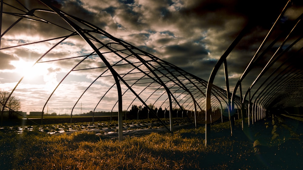 black metal frame on green grass field under cloudy sky during daytime