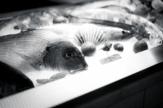 Minimalistic blue and white themed interior of a modern fish restaurant with fresh seafood displays.