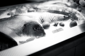 Overhead shot of assorted fresh seafood arranged artistically on ice, reflecting cold chain care.