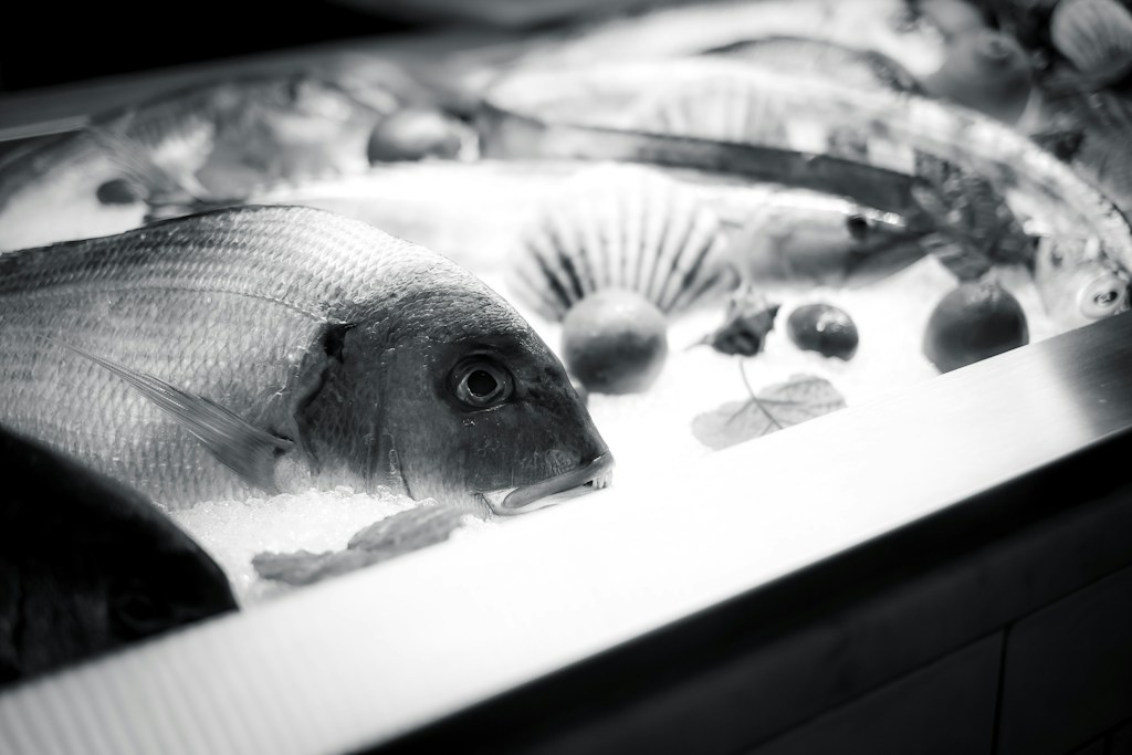 Fresh Whole Tilapia