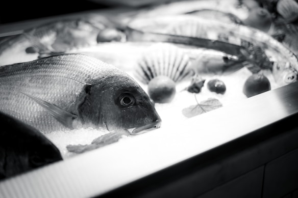 A display of whole fish on a bed of ice with various seashells and round fruits arranged alongside. The fish have shiny scales and prominent eyes, and the ice creates a cold, fresh ambiance. The black and white filter gives the scene a classic, timeless feel.