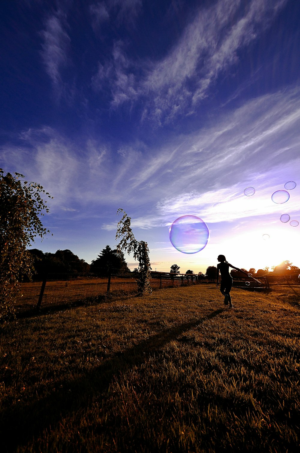 silhouette of 2 people standing on grass field under blue sky with stars during night time