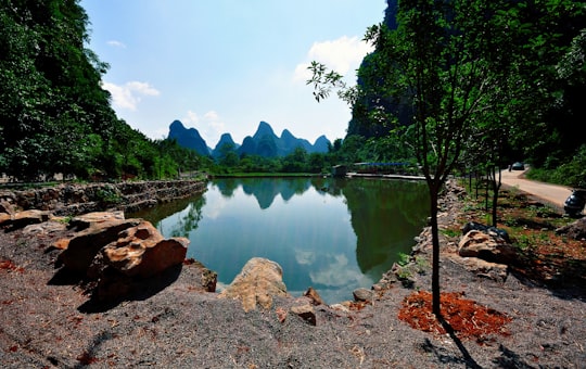 lake surrounded by green trees and mountains during daytime in Yangshuo China