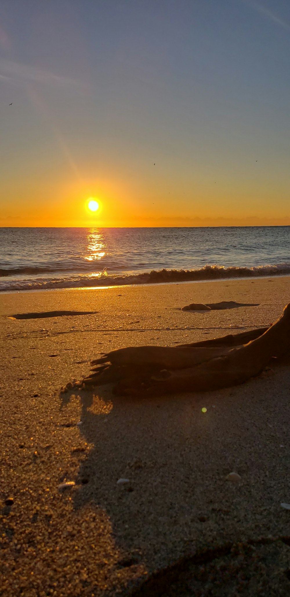 Persona acostada en la orilla de la playa durante la puesta del sol