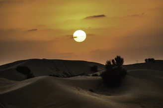 A serene desert sunset over golden dunes in Mauritania, with a lone traveler admiring the view.