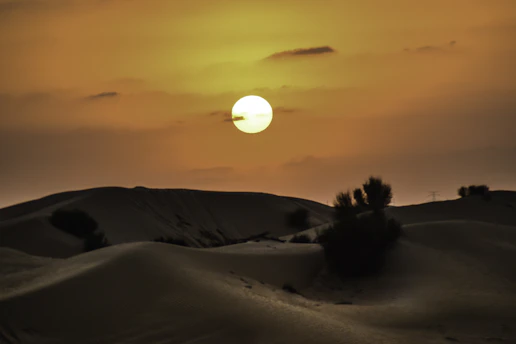 A serene desert sunset over golden dunes in Mauritania, with a lone traveler admiring the view.