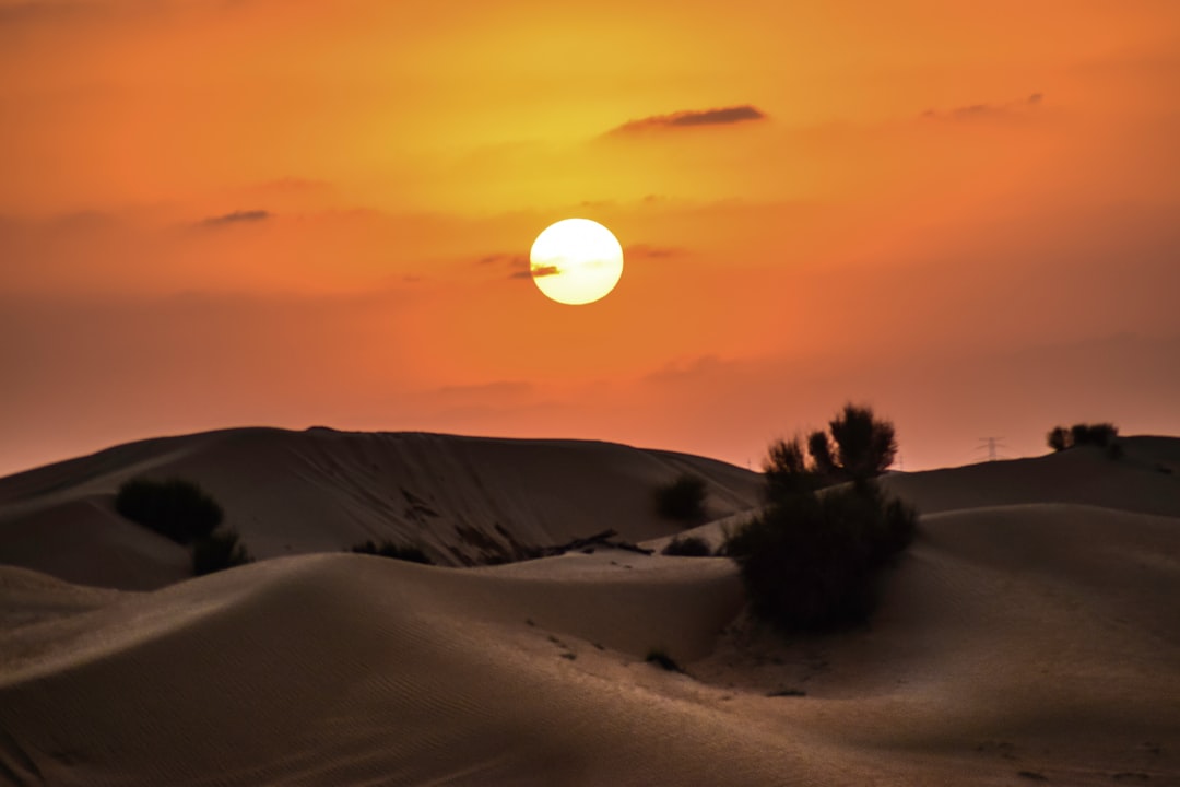 Desert photo spot Dubai - United Arab Emirates Sharjah - United Arab Emirates