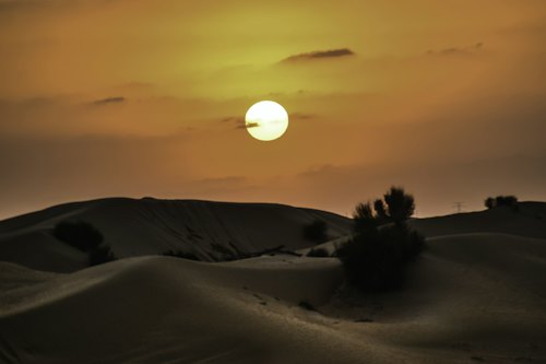 Premium Desert Safari