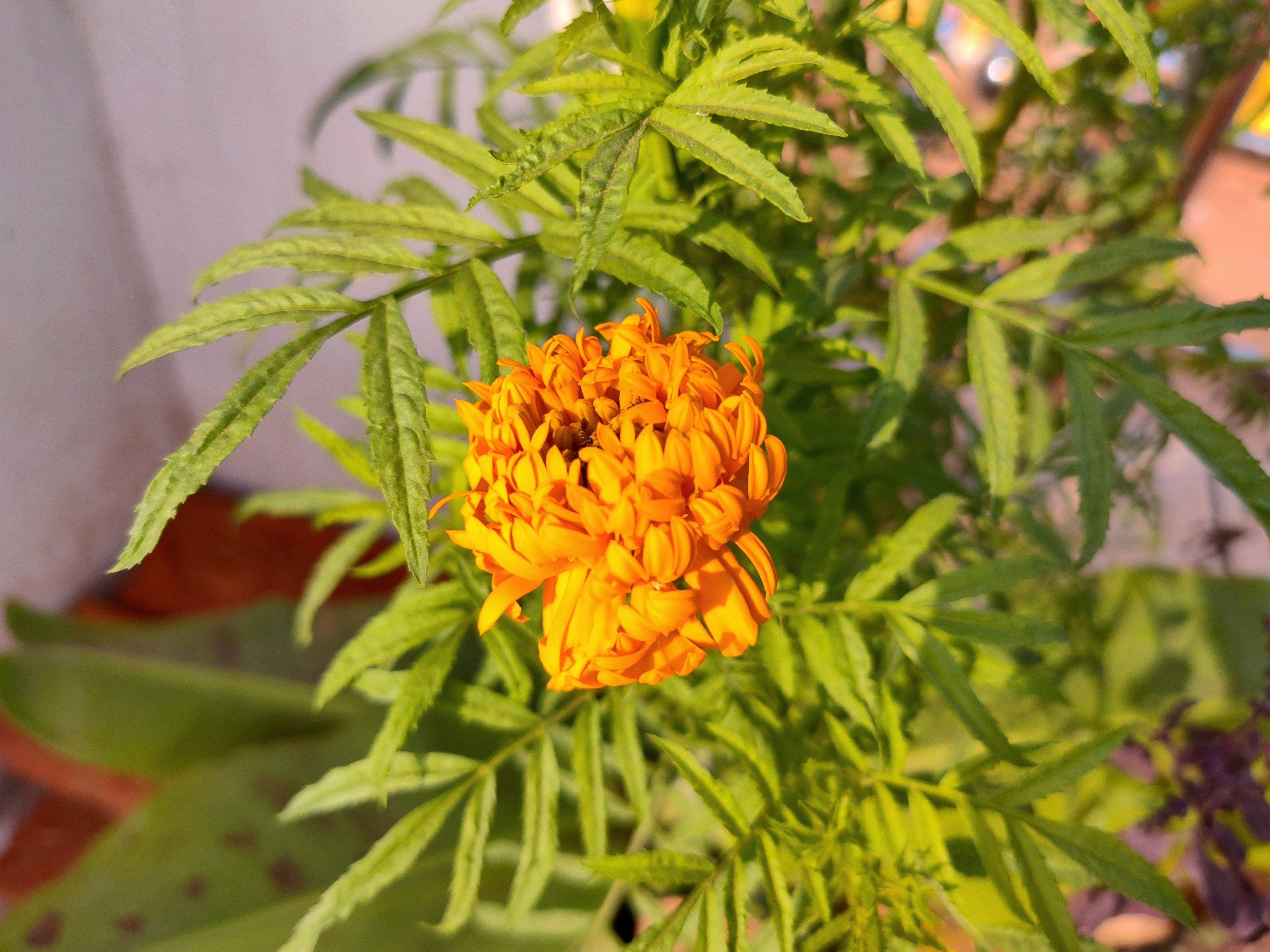 Photo by __abhi5813__