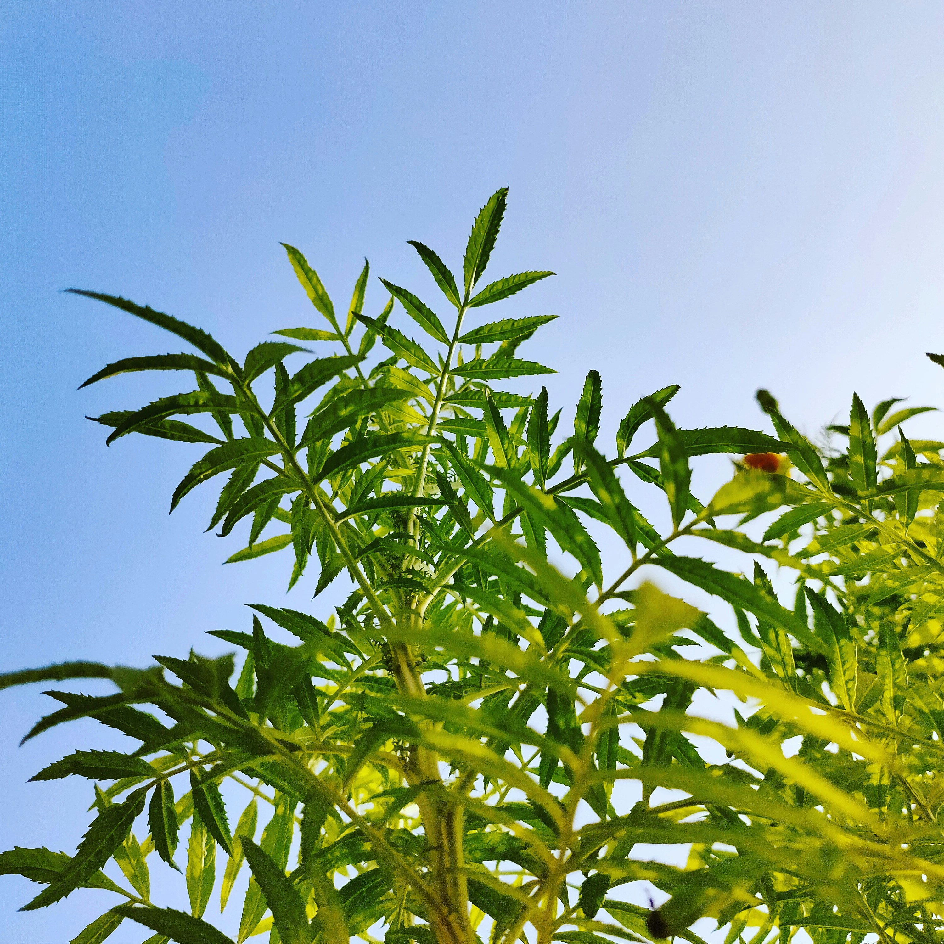 Photo by __abhi5813__