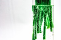 A clear bottle of natural liquid oxygen supplement with fresh green leaves in the background.