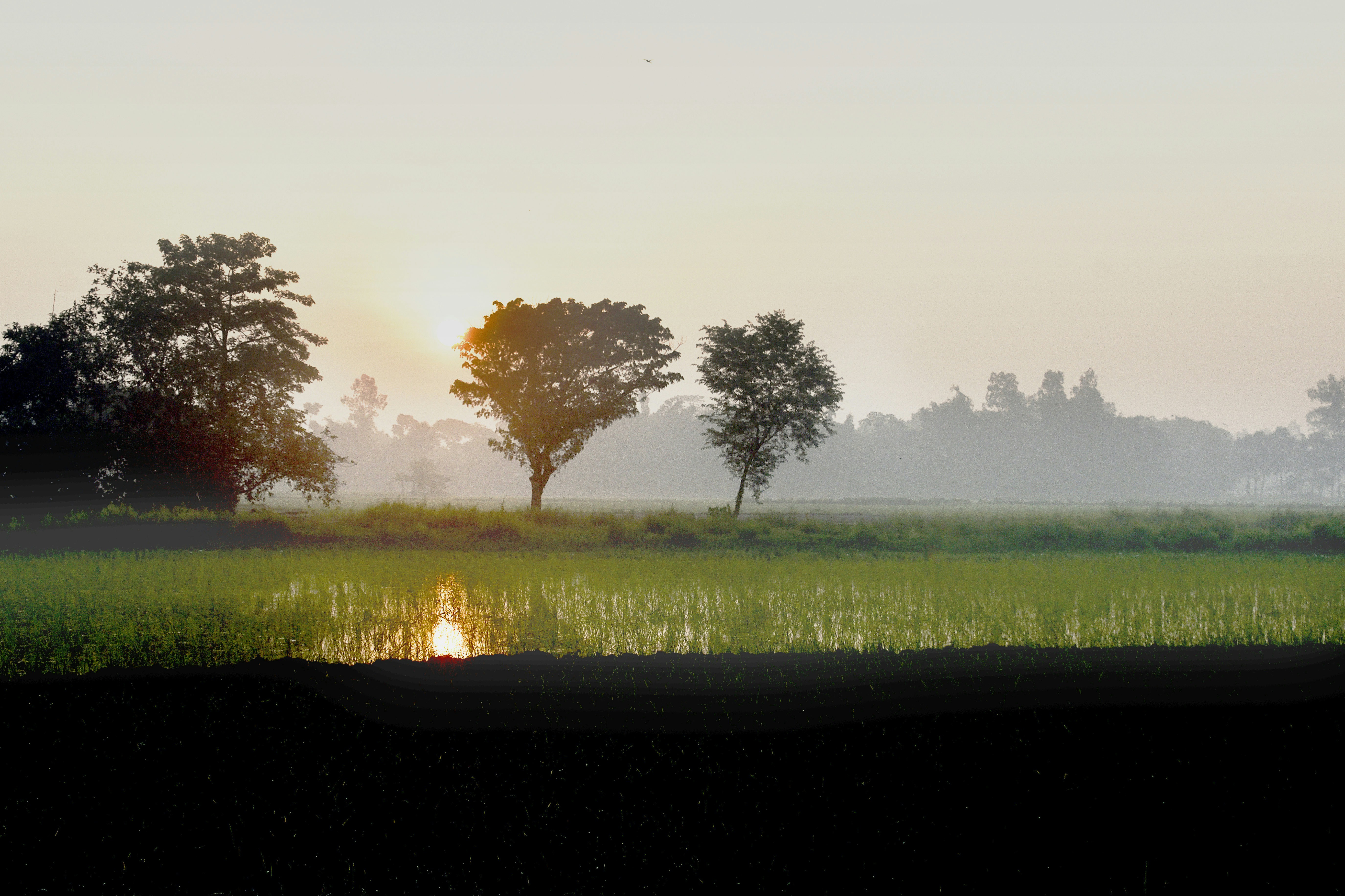 Photo by manzurlm