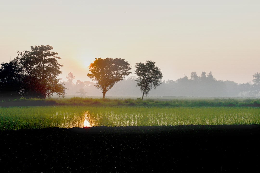 Natural landscape photo spot Naogaon Rajshahi