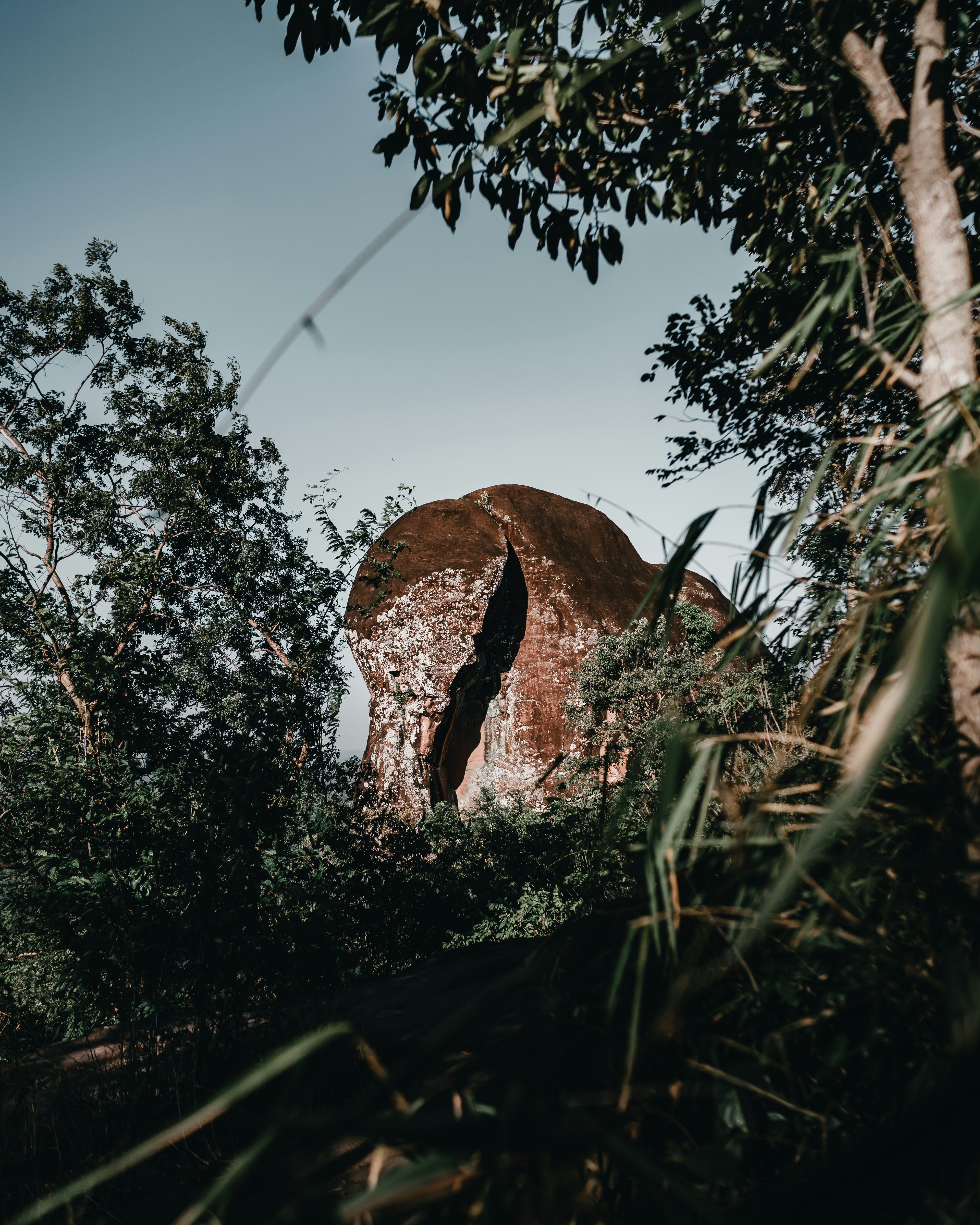 Photo by pongsawat