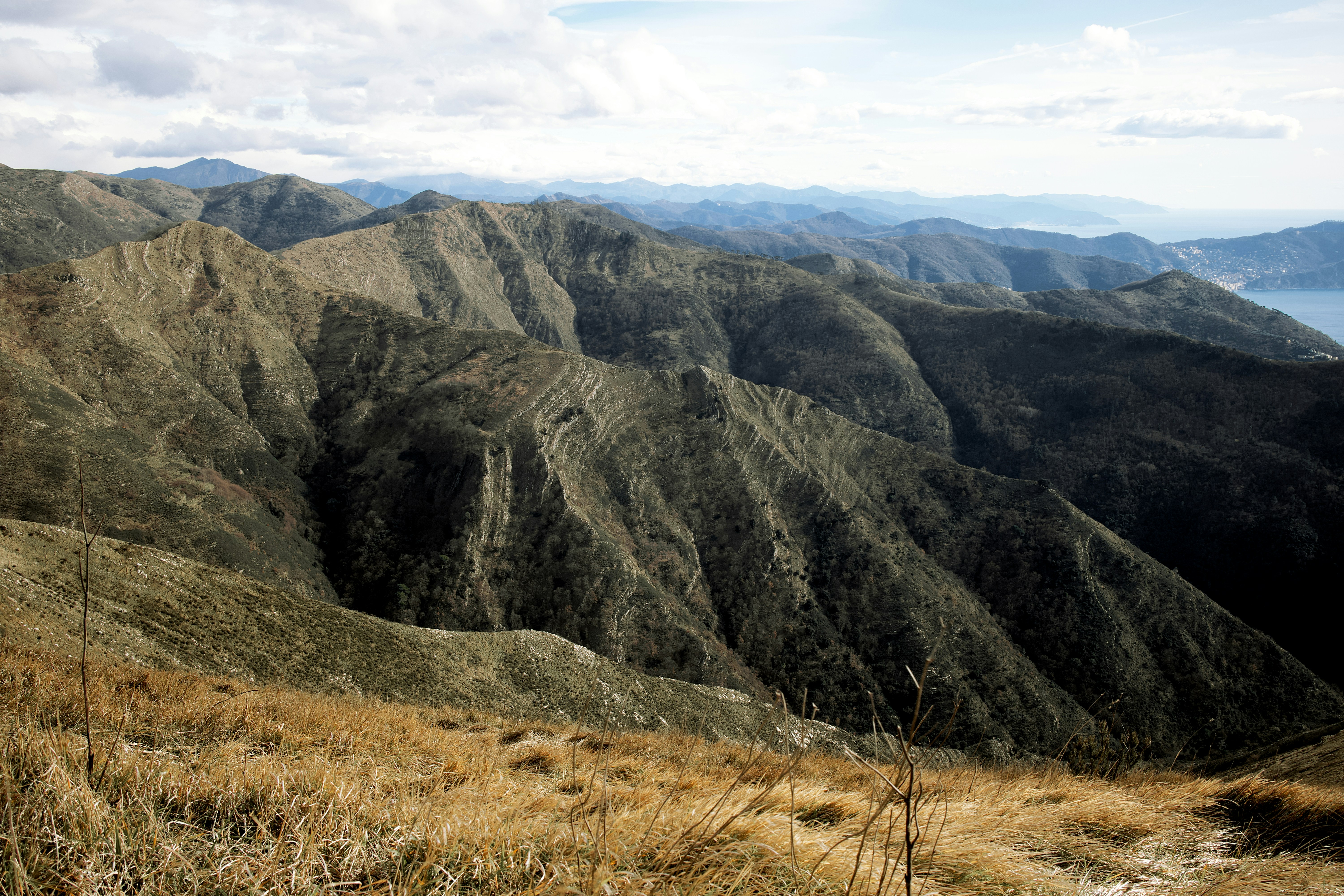 Photo by goeticmaster