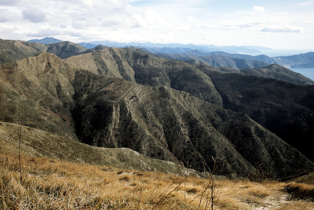 brown grass on mountain under white clouds during daytime