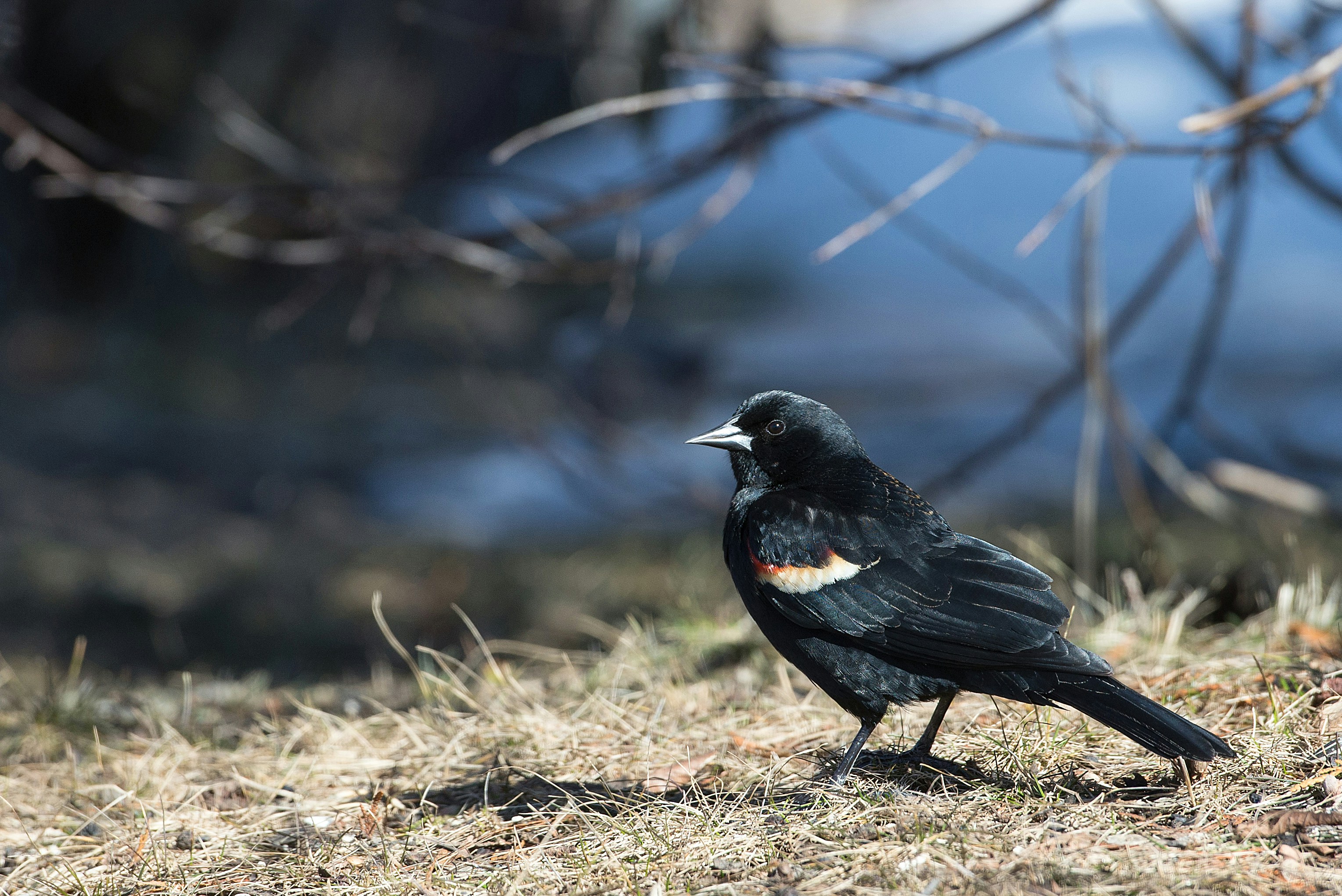 Photo by tammyraybould