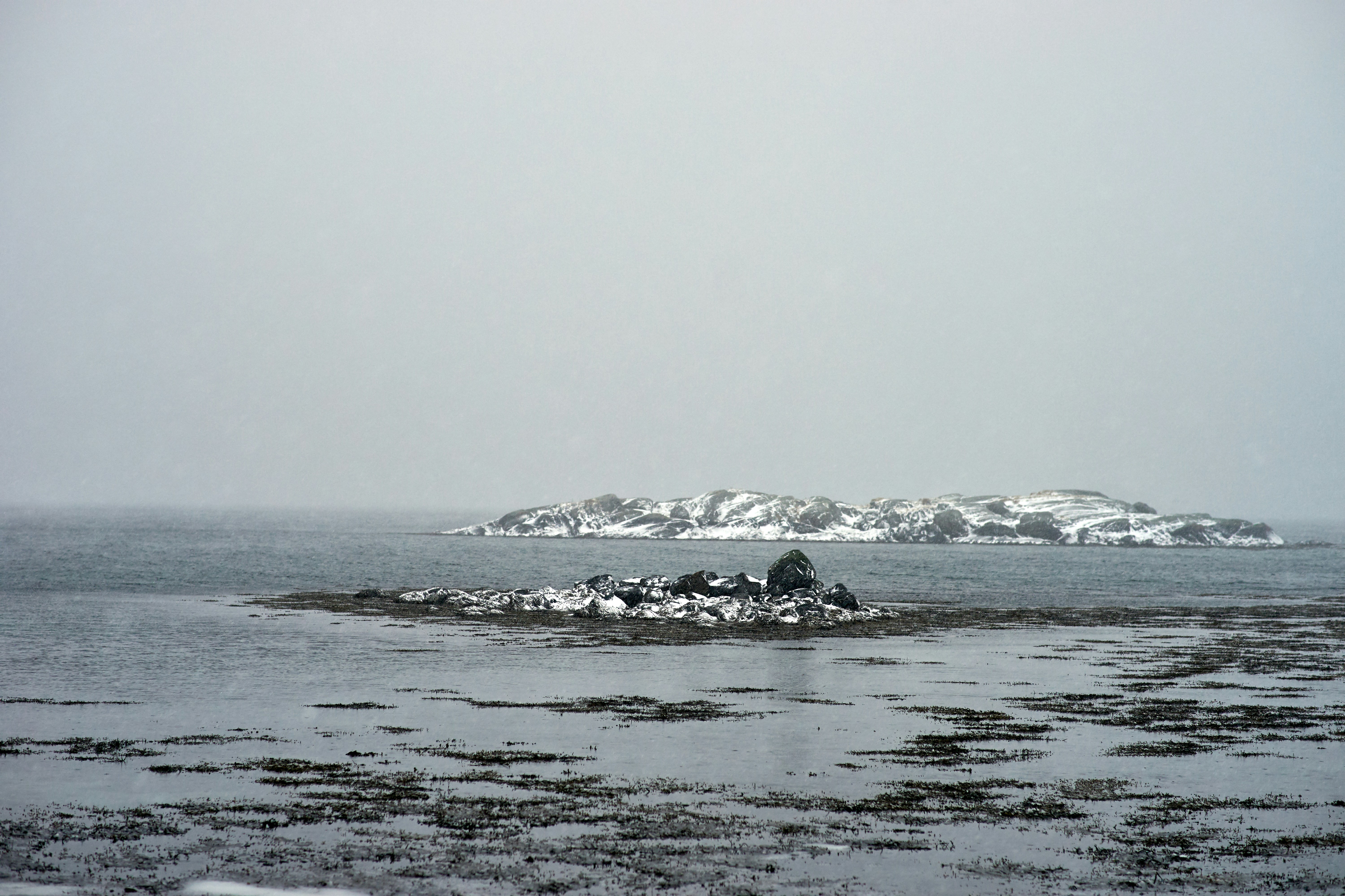 Photo by wolfgang_hasselmann