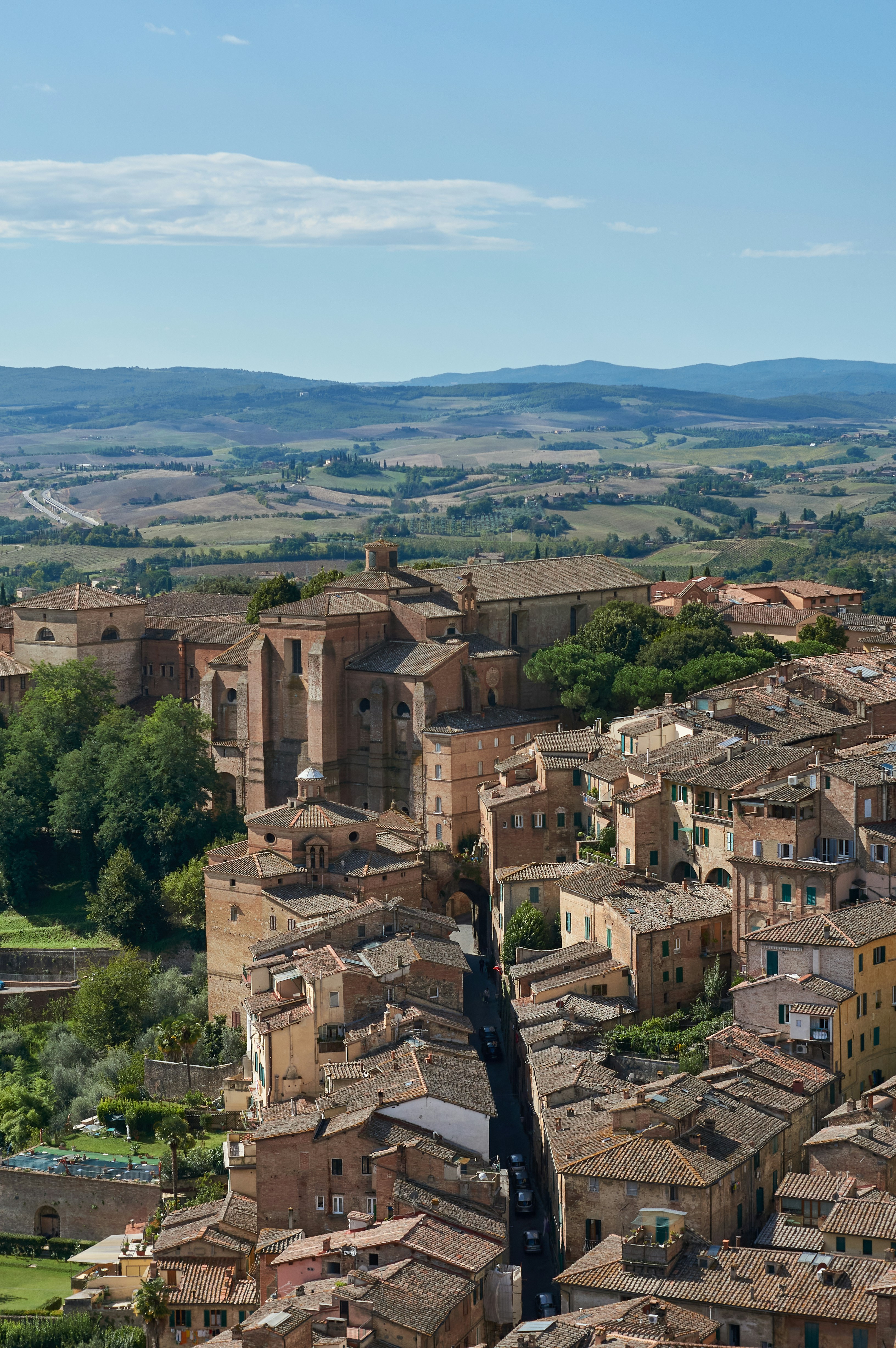 Photo by wolfgang_hasselmann