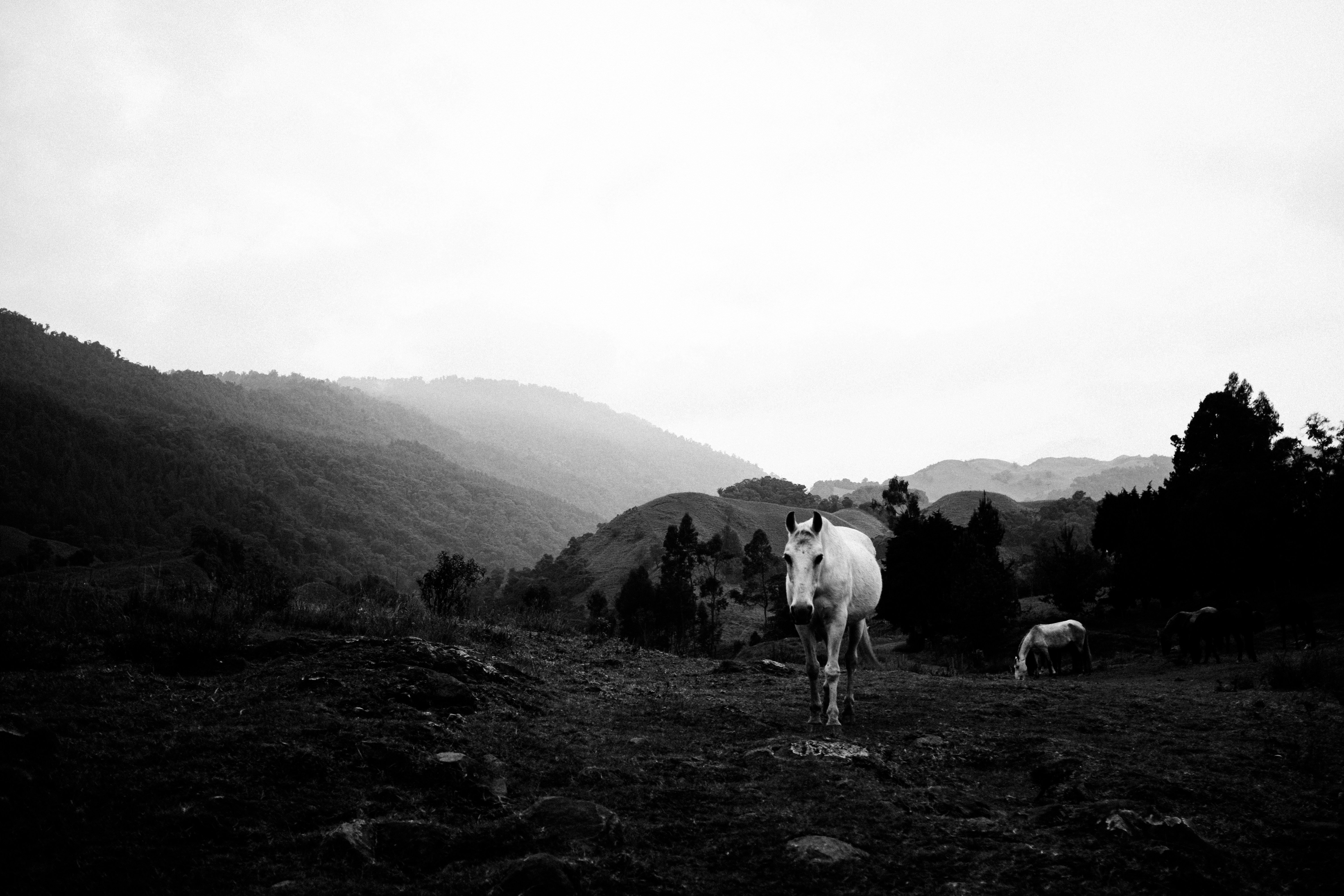 Photo by voyallaround