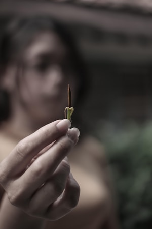 A hand gently holding a small sprout with a blurred background depicting a person out of focus. The scene conveys a sense of nurturing and care.