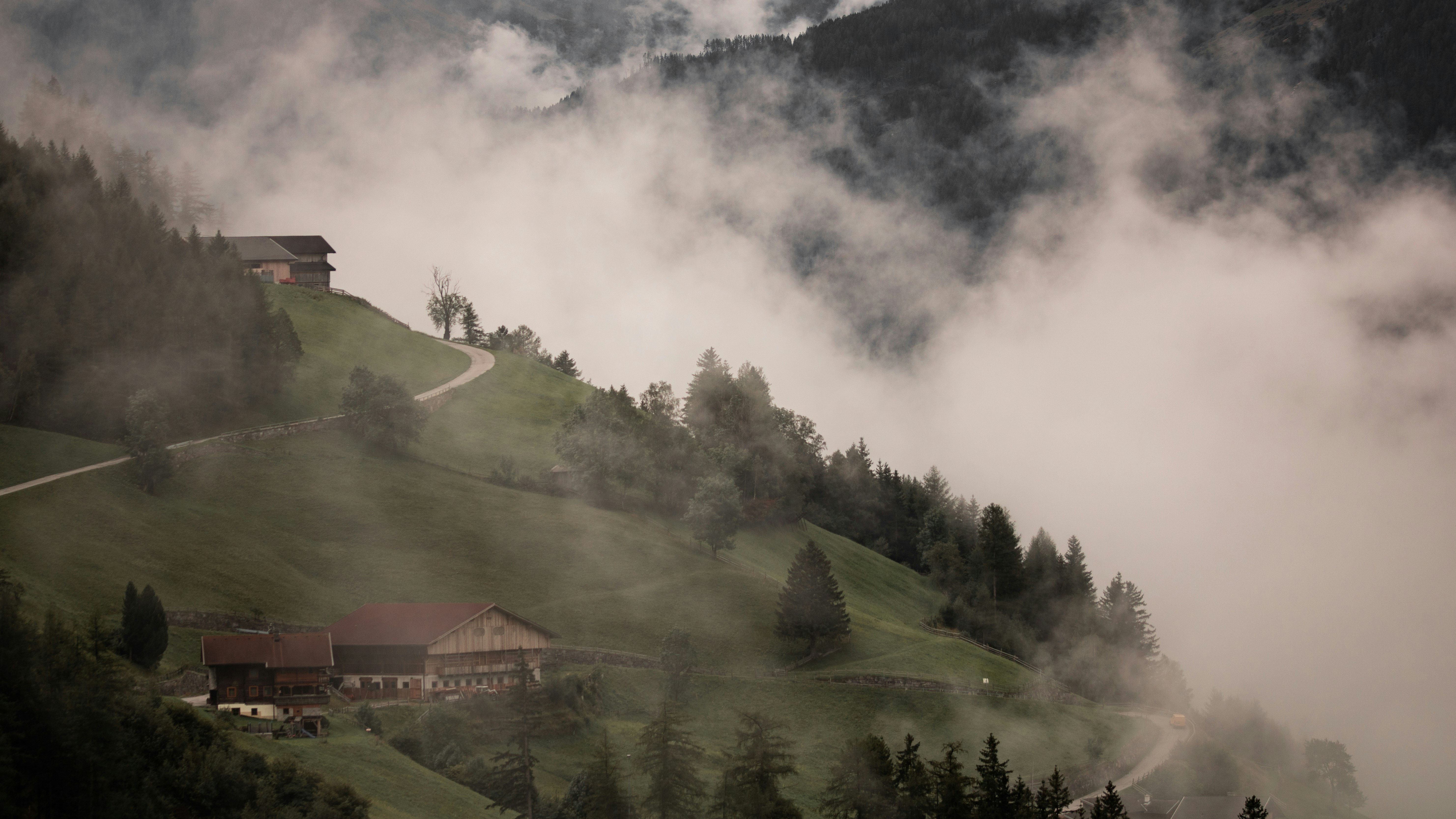 green trees and mountain under white clouds