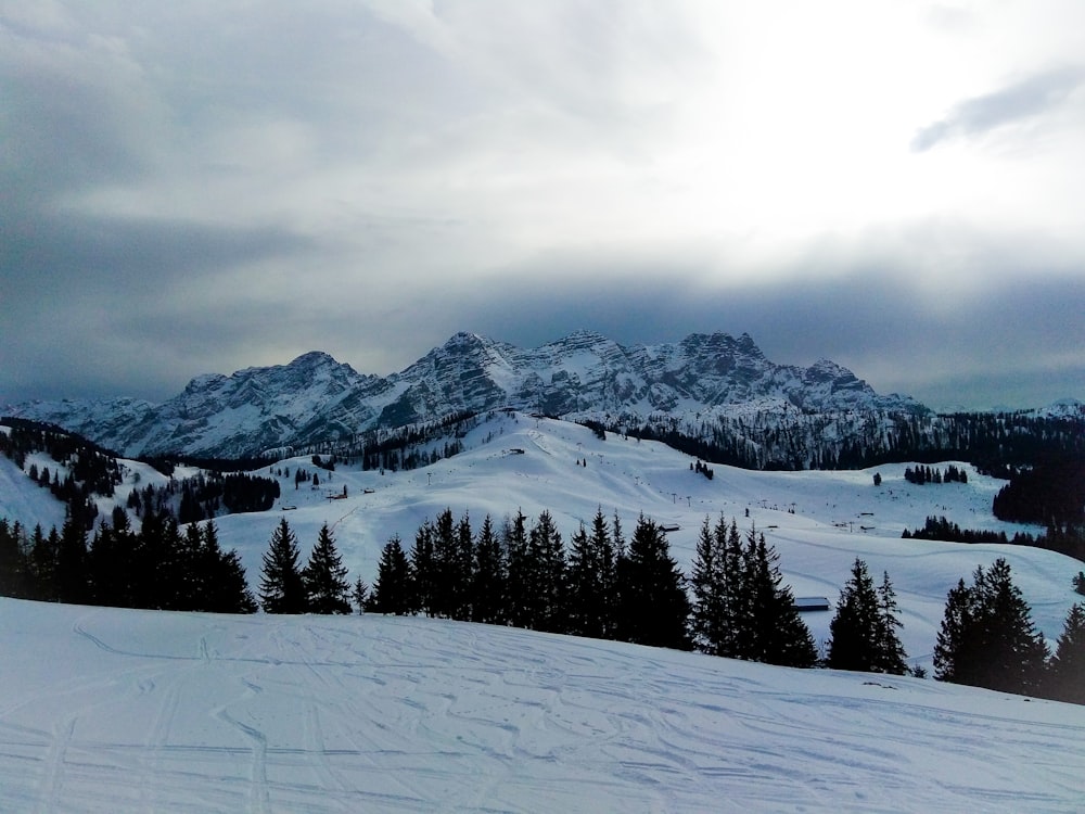 snow covered mountain during daytime