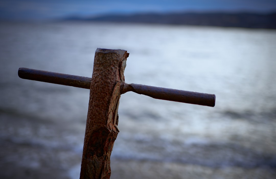 brown wooden fence near body of water during daytime