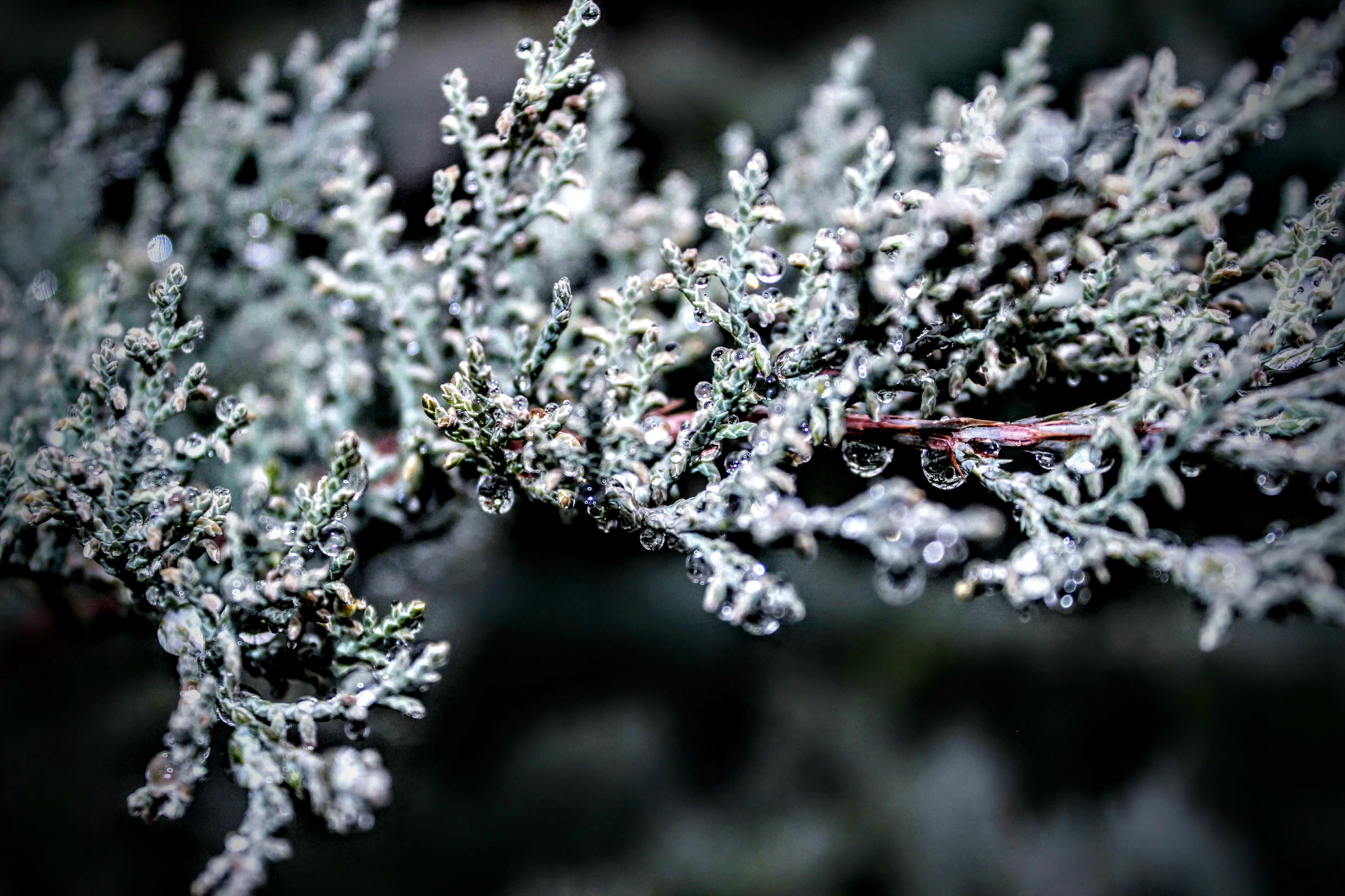 Photo by official_jennii