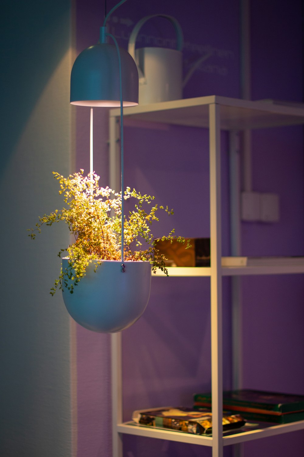 yellow flowers on blue glass vase